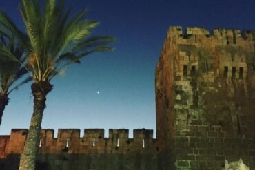 Promises from the Eastern Wind (poem): Wall of Jerusalem Old City and palm tree