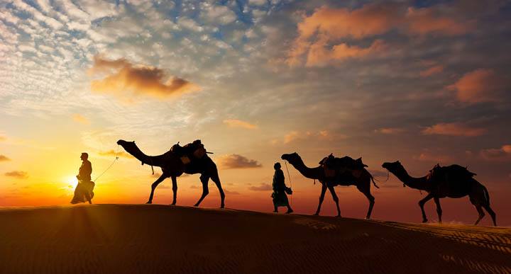 Parshat Lekh Lekha - people and camels walking in the desert