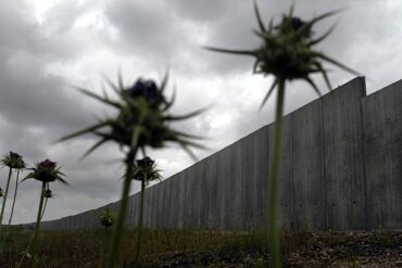 Fault-Line by Yonah ben-Avraham - thistles and the wall