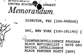 Cointelpro, JDL & the Panthers