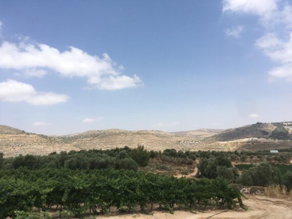 West Bank