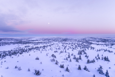 Snowy landscape - Tevet by Robert Goodman