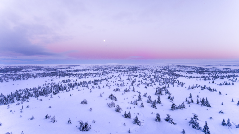 Snowy landscape - Tevet by Robert Goodman