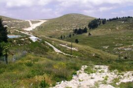 Ḥomesh in northern Samaria