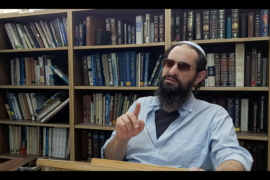 Yehuda HaKohen