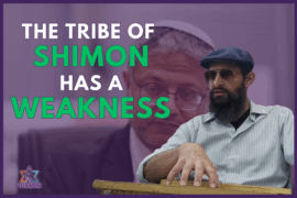 Tribe of Shimon