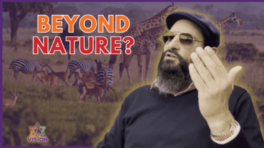 What Makes Humans Different